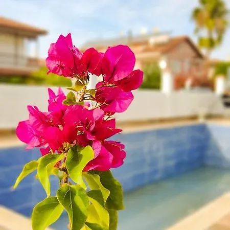 فيلة Fethiye Villa Huelya