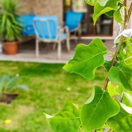 Fethiye Villa Huelya * فتحية